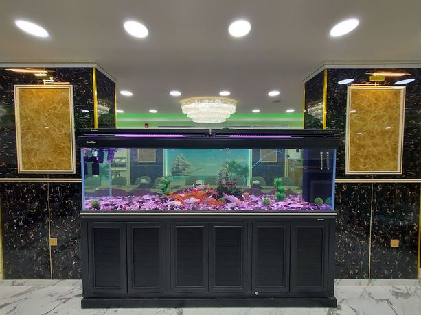 Imagen de los interiores del Hotel Jordan Seasons. Foto 20