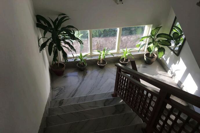 Imagen general del Hotel Joshi. Foto 3