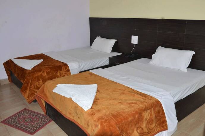 Imagen general del Hotel Joshi. Foto 6