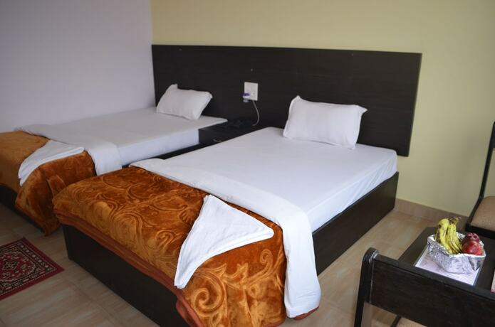 Imagen general del Hotel Joshi. Foto 11