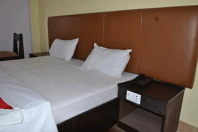 Imagen de la habitación del Hotel Joshi. Foto 22