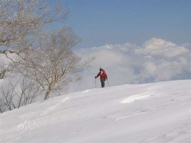 Imagen general del Hotel Joshin'etsukogen National Park HOTEL FUJIYA. Foto 8