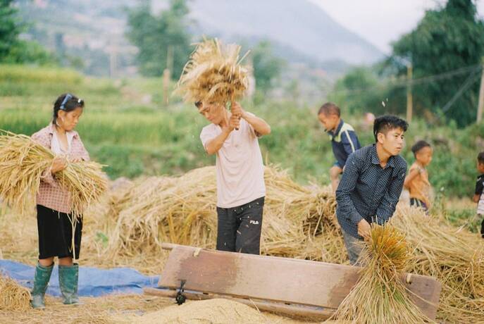 Imagen general del Hotel Joy House Riverside. Foto 5