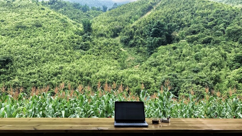 Imagen general del Hotel Joy House Riverside. Foto 8