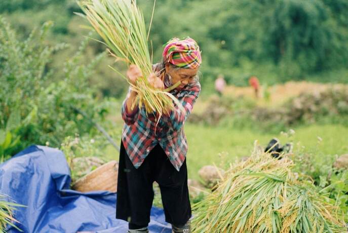 Imagen general del Hotel Joy House Riverside. Foto 9