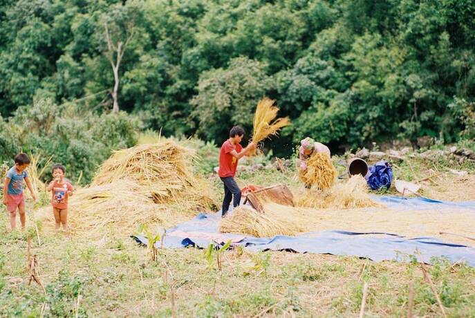 Imagen general del Hotel Joy House Riverside. Foto 11