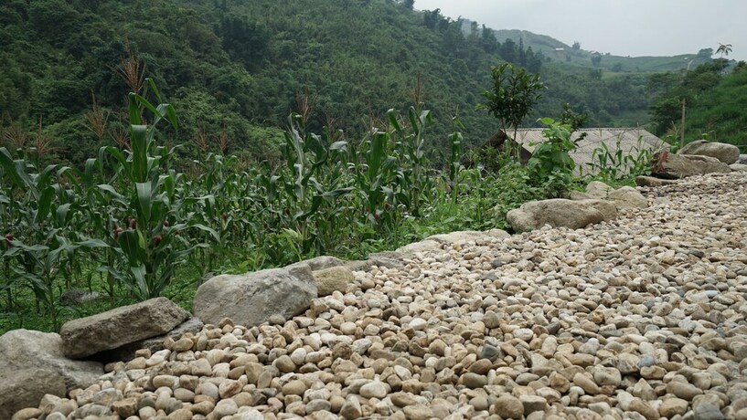 Imagen general del Hotel Joy House Riverside. Foto 2