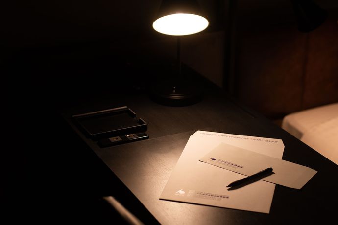 Imagen de la habitación del Hotel Joytel Osaka Shinsekai. Foto 5