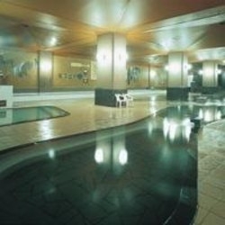 Imagen del Hotel Jozankei. Foto 1