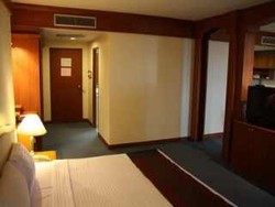 Imagen de la habitación del Hotel Jp Emerald. Foto 8