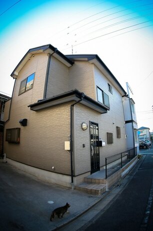 Imagen general del Hotel J's Backpackers Guest House - Hostel. Foto 2