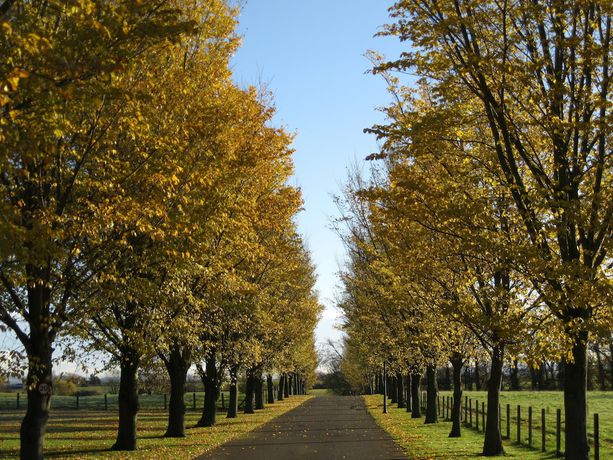 Imagen general del Hotel Judges Country House. Foto 3