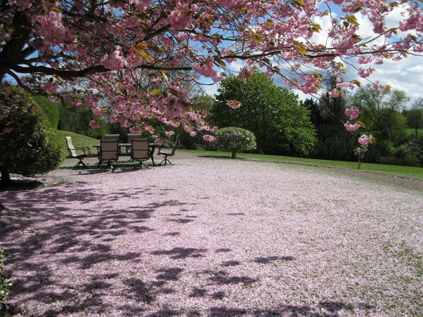 Imagen general del Hotel Judges Country House. Foto 4