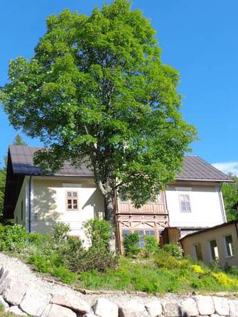 Imagen de la habitación del Hotel Jufa Altaussee. Foto 16