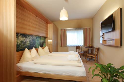 Imagen de la habitación del Hotel Jufa Murau. Foto 13