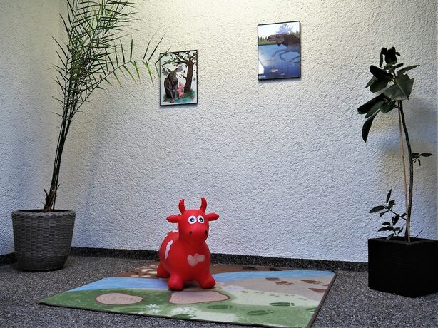 Imagen general del Hotel Jugendherberge Romanshorn. Foto 13