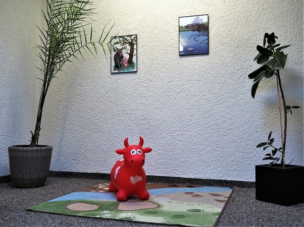 Imagen general del Hotel Jugendherberge Romanshorn. Foto 5