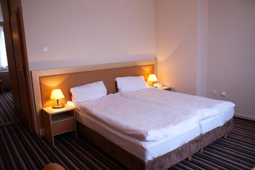 Imagen de la habitación del Hotel Julian, SZCZECIN. Foto 5
