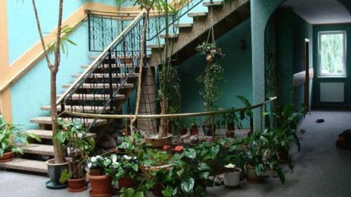 Imagen de los interiores del Hotel Julian, SZCZECIN. Foto 12