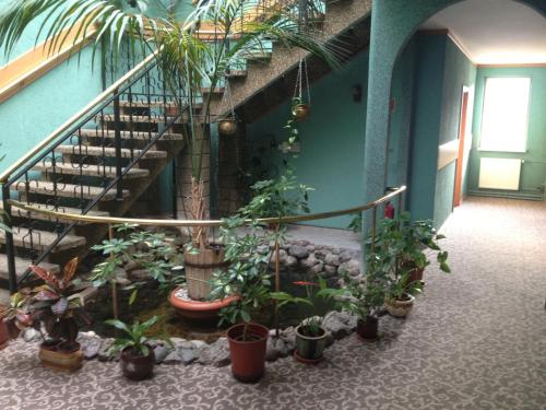 Imagen de los interiores del Hotel Julian, SZCZECIN. Foto 13