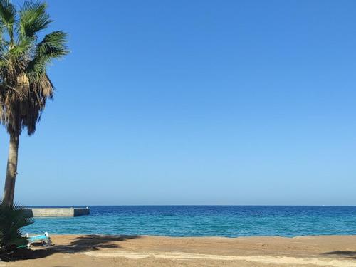 Imagen general del Hotel Juliana Resort Hurghada. Foto 7