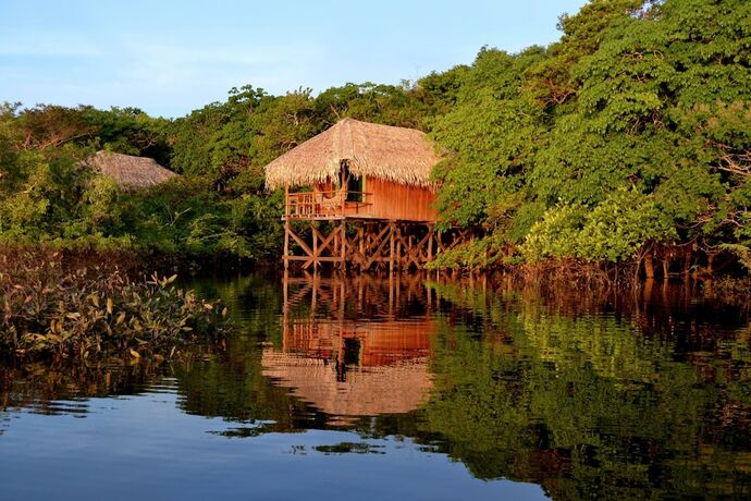 Imagen de la habitación del Hotel Juma Amazon Lodge, Autazes. Foto 17