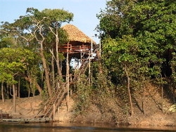 Imagen de los exteriores del Hotel Juma Amazon Lodge. Foto 5