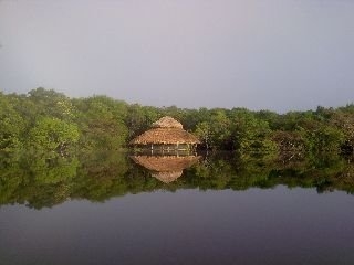 Imagen de los exteriores del Hotel Juma Amazon Lodge. Foto 7