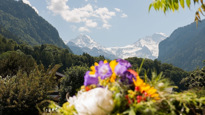 Imagen de la habitación del Hotel Jungfrau Annex Alpine Inn. Foto 13