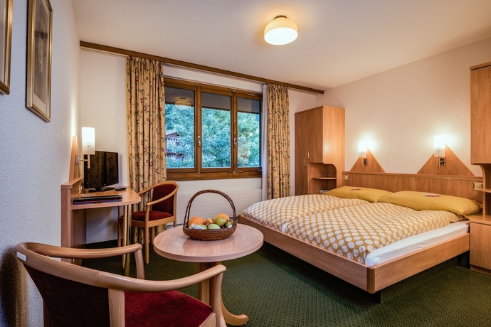 Imagen de la habitación del Hotel Jungfraublick Wengen. Foto 7