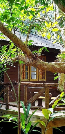 Imagen de los exteriores del Hotel Jungle Bay Resort. Foto 14