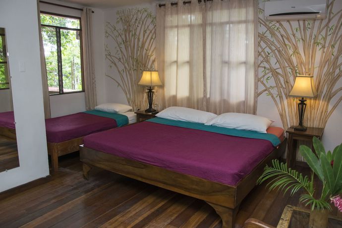 Imagen de la habitación del Hotel Jungle Beach Manuel Antonio. Foto 10