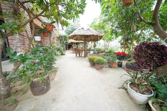 Imagen general del Hotel Jungle Boss Homestay. Foto 9