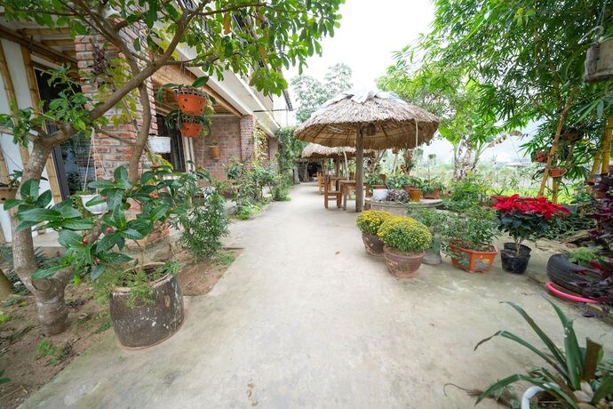 Imagen general del Hotel Jungle Boss Homestay. Foto 16