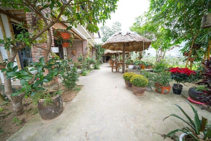 Imagen de los interiores del Hotel Jungle Boss Homestay. Foto 28