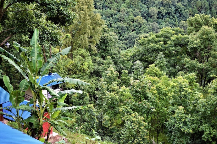 Imagen general del Hotel Jungle Crown Organic Homestay. Foto 2