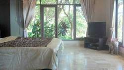 Imagen general del Hotel Jungle Emerald Rock. Foto 15