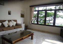 Imagen general del Hotel Jungle Emerald Rock. Foto 18