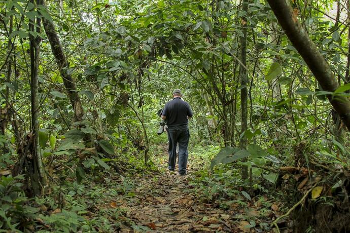 Imagen general del Hotel Jungle Experiences Zafiro. Foto 6