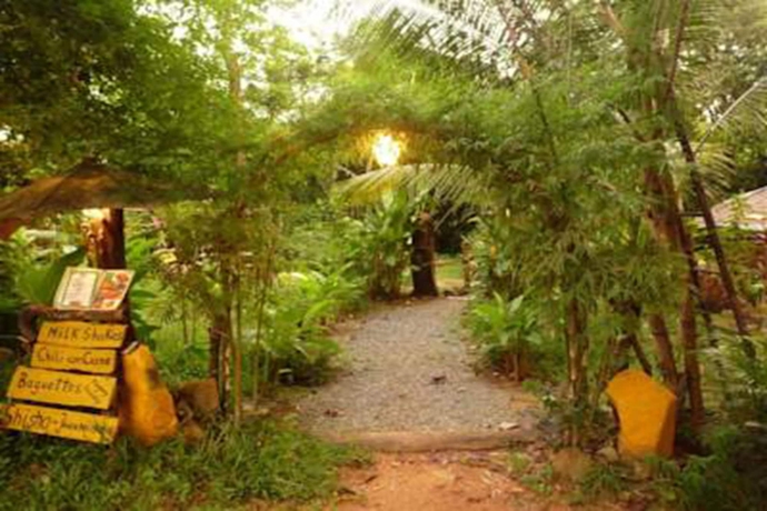Imagen general del Hotel Jungle Garden. Foto 2