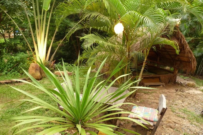 Imagen de los exteriores del Hotel Jungle Garden. Foto 16