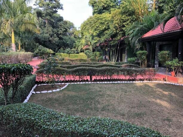 Imagen general del Hotel Jungle Leela Resort. Foto 4