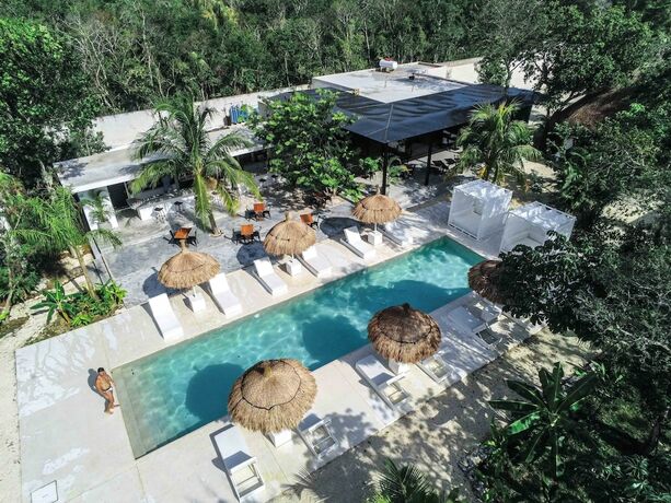 Imagen general del Hotel Jungle Lodge Boutique Adults Only. Foto 1