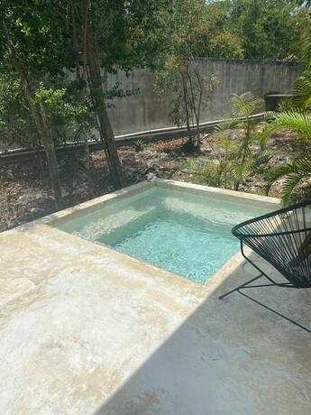 Imagen general del Hotel Jungle Lodge Boutique Adults Only. Foto 4
