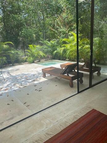 Imagen general del Hotel Jungle Lodge Boutique Adults Only. Foto 7