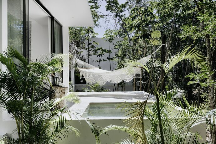 Imagen general del Hotel Jungle Lodge Boutique Adults Only. Foto 8