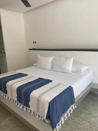Imagen de la habitación del Hotel Jungle Lodge Boutique Adults Only. Foto 19