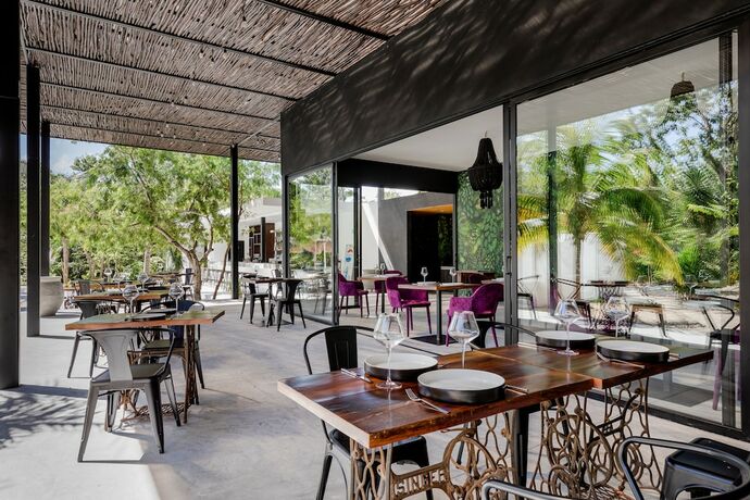Imagen general del Hotel Jungle Lodge Boutique Adults Only. Foto 11