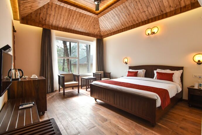 Imagen de la habitación del Hotel Jungle Lodge Resort. Foto 35