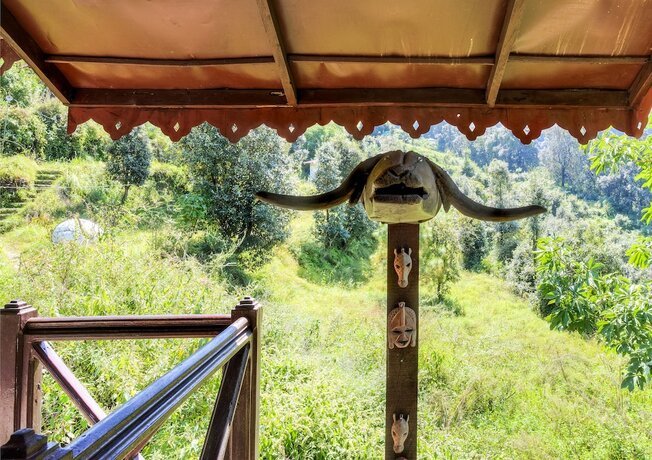 Imagen general del Hotel Jungle Lore Birding Lodge. Foto 6